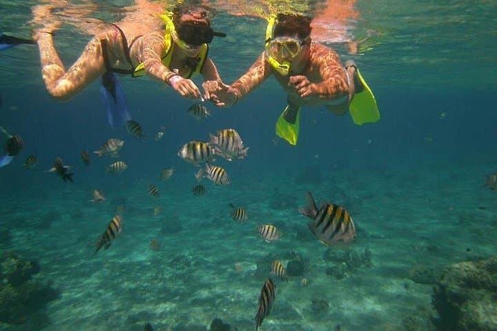 Cozumel Snorkel Adventure: El Cielo, Palancar & Colombia Reefs with Ferry Transfer photo 2