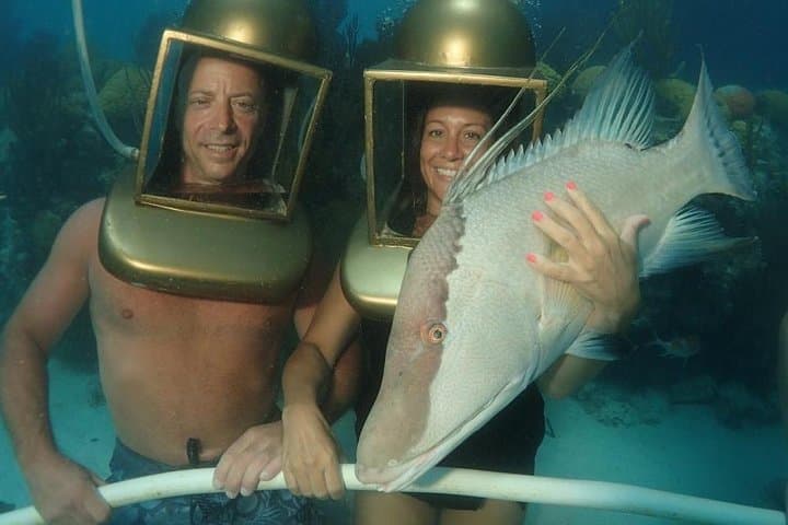 Hartley Helmet Diving: Walk Bermuda's Shallow Reefs for Up-Close Fish Encounters photo 3