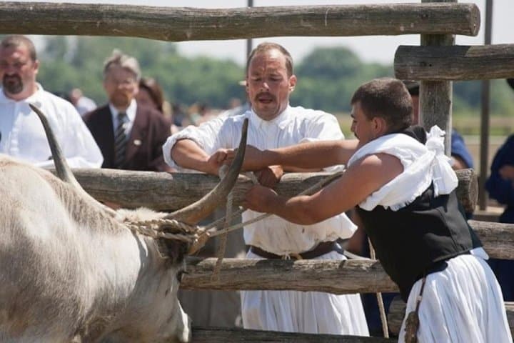 Explore Hungary's Puszta: Hortobágy & Debrecen Private Day Tour