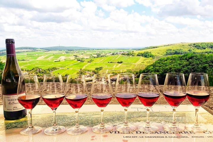 Sancerre Day Trip from Paris: Private Sommelier-Led Wine & Cheese Tour