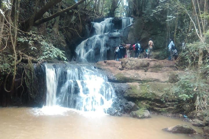 Karura Forest Day Hike and Trail Bike Tour from Nairobi