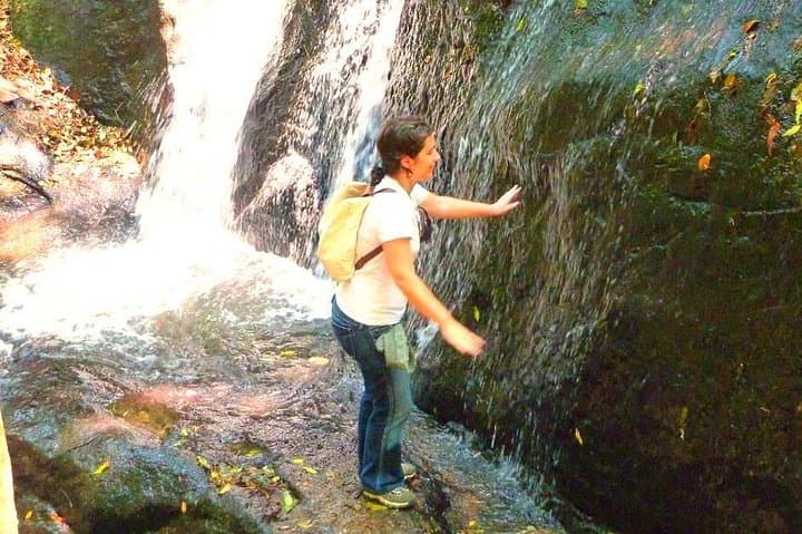 Atlantic Forest Ecological Walk Near Sao Paulo: Waterfalls, Orchids & City Views photo 1