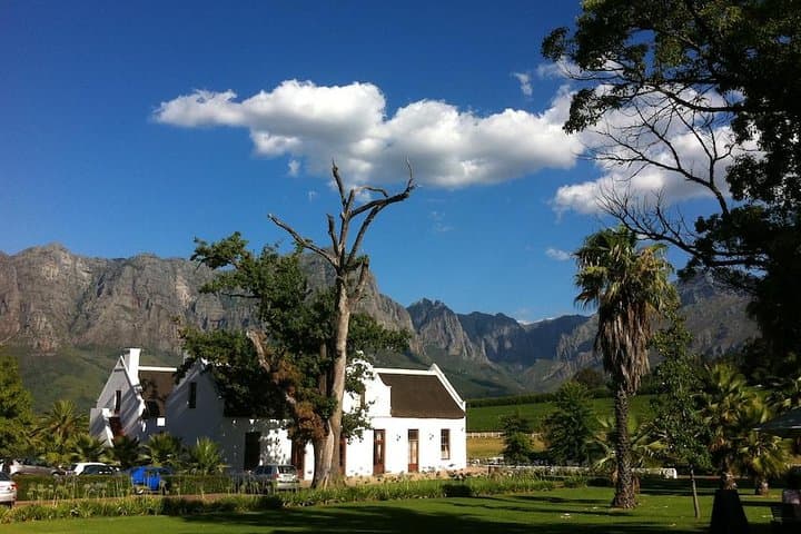Cape Town to Hermanus Whale Watching and Hemel-en-Aarde Wine Tasting Day Tour photo 3