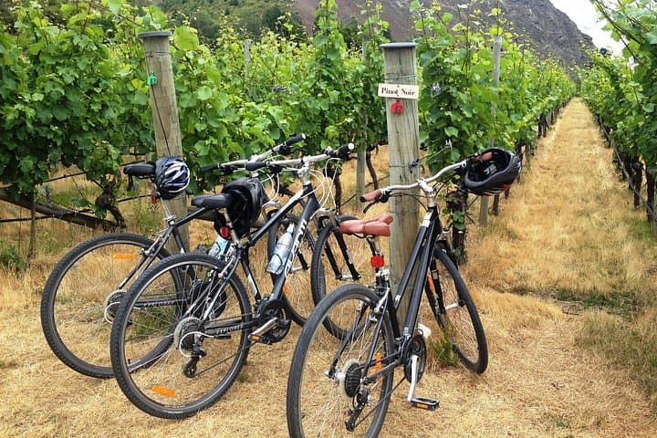 Half-Day Arrowtown Bike and Wine Tour: Arrow River Bridges to Gibbston Valley