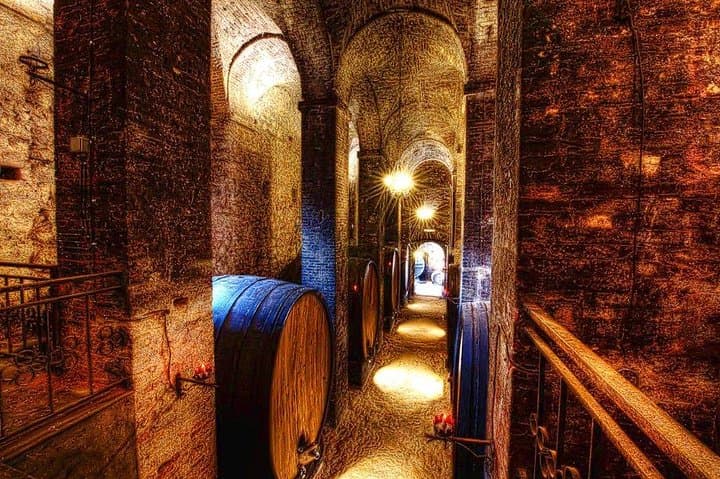 Tuscany Truffle & Brunello VIP Day Trip from Rome photo 3