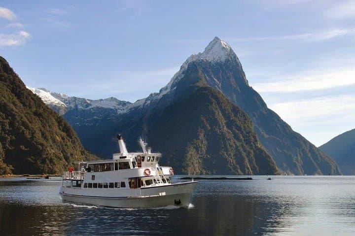 Milford Sound Boutique Cruise: Small-Boat Wildlife and Waterfall Experience photo 3