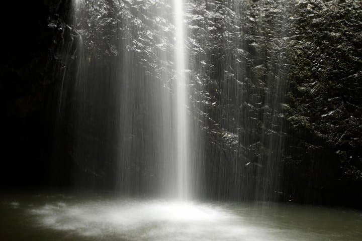 Natural Bridge Glow Worm Night Tour — Springbrook Rainforest from Gold Coast photo 5