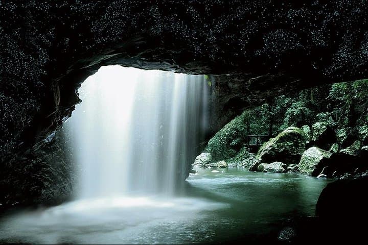Natural Bridge Glow Worm Night Tour — Springbrook Rainforest from Gold Coast