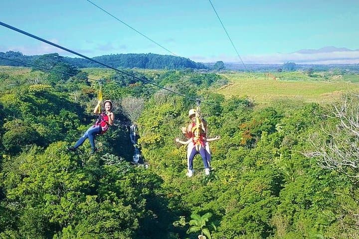 Big Island 8-Zipline & Suspension Bridge Adventure at Botanical World (Kamaee Falls) photo 1