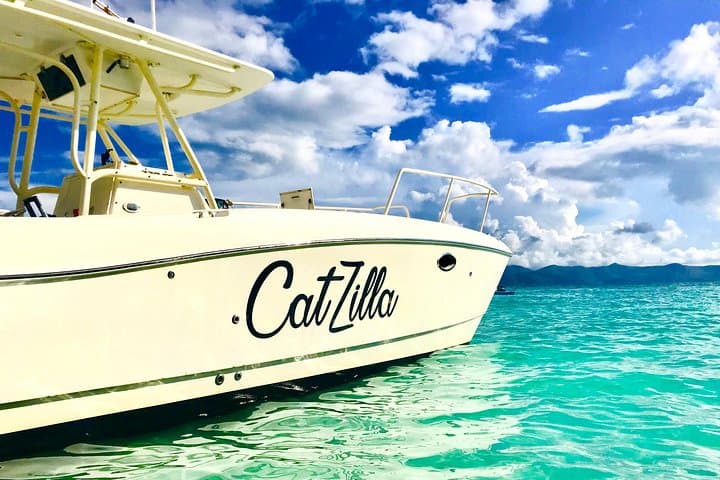 Half-Day Private Catamaran Charter from St John | Snorkel & Beach Tour