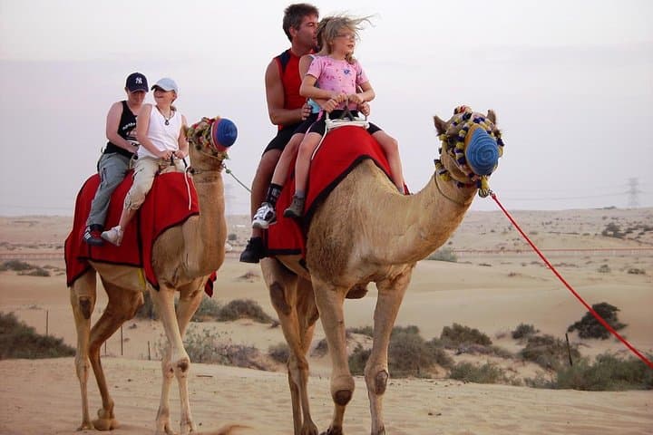 Abu Dhabi Morning Desert Safari: Camel Ride, Sand‑Boarding & Dune Bashing