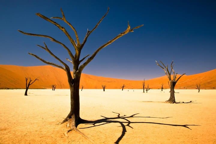 3-Day Namibia Desert Camping Tour from Windhoek — Sossusvlei, Deadvlei & Sesriem
