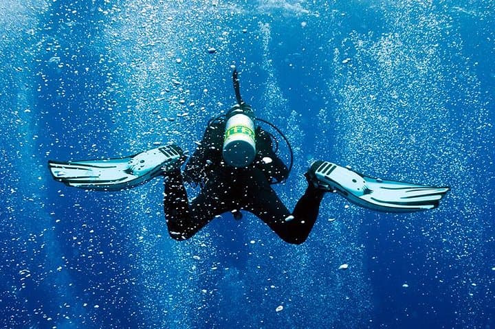 Two-Tank Shore Dive at Sea Turtle Cove — Hilo Guided Scuba Adventure