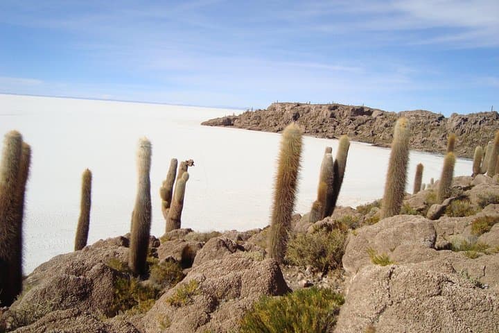 2-Day Uyuni Salt Flats Tour Including Laguna Colorada photo 4