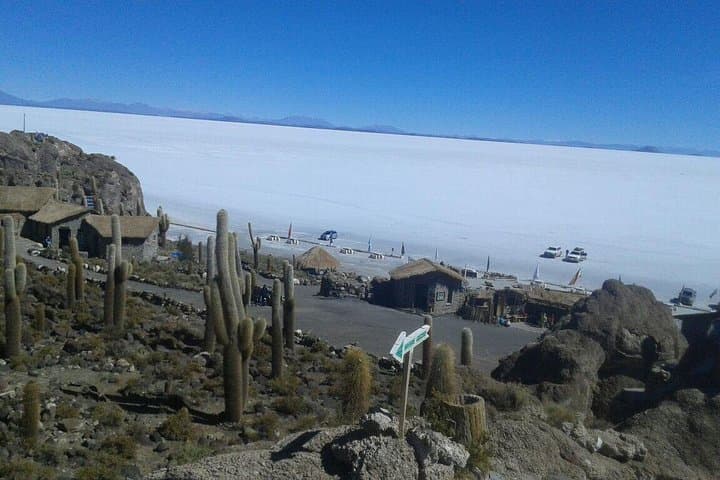 Uyuni Salt Flats Private Cultural Tour with Llama Grazing & Incahuasi Island