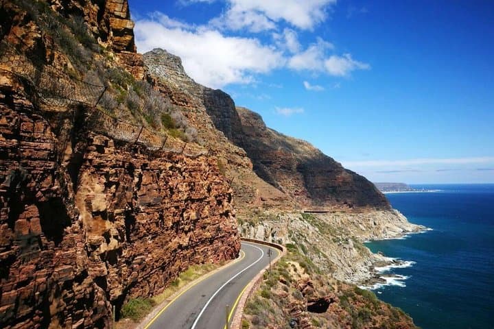 Half-Day Cape Peninsula Tour: Chapman's Peak, Cape Point & Boulders Penguins