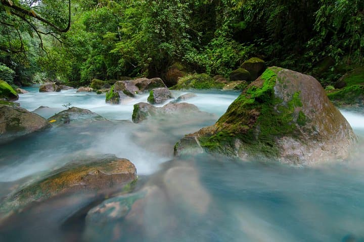 Rio Celeste & Tenorio Volcano Hike from La Fortuna — Blue River Trek with Lunch photo 2