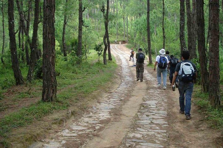 Champa Devi Day Hike: Himalayan Ridge Trails & Kathmandu Valley Views