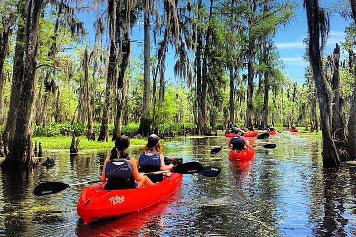 Manchac Swamp Kayak Tour: Small-Group Wildlife Paddle from New Orleans photo 1