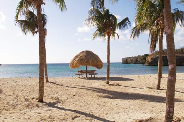 Curacao Full-Day Private Tour: Beaches, Blowholes & Off-Road Island Secrets photo 3