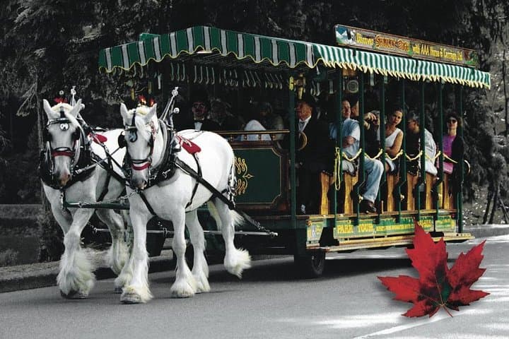 Stanley Park Horse-Drawn Carriage Tour — 1-Hour Guided Ride in Vancouver