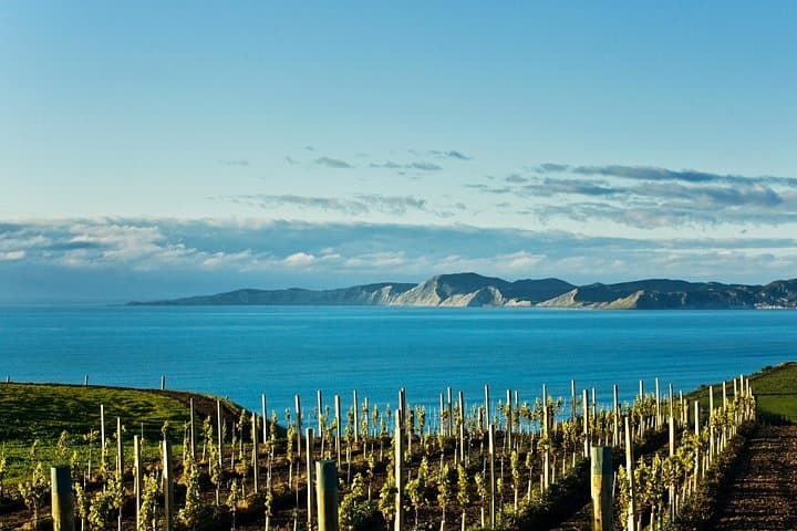 Picton Shore Excursion: Marlborough Wine Tour from Picton to Blenheim photo 1
