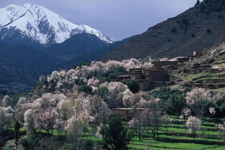 Private Day Tour: Atlas Mountains & Four Valleys from Marrakech
