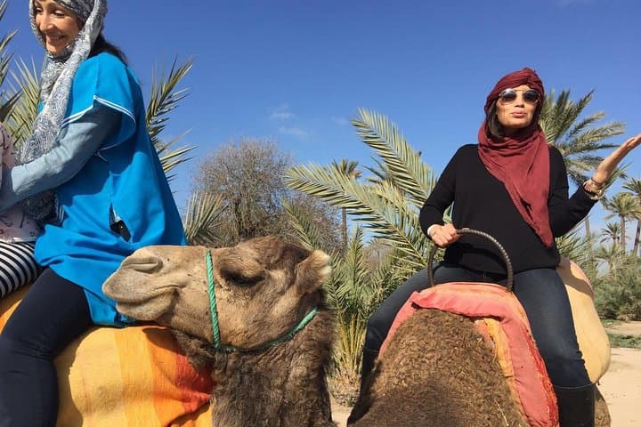 Camel Ride in Marrakech's Palmeraie: Palm Grove Camel Tour & Mint Tea Experience