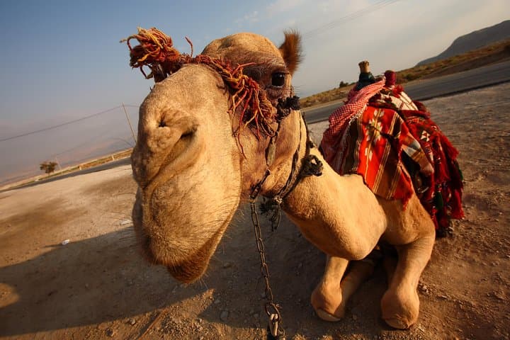 Private 2-Day Sahara Desert Tour from Marrakech to Zagora photo 2