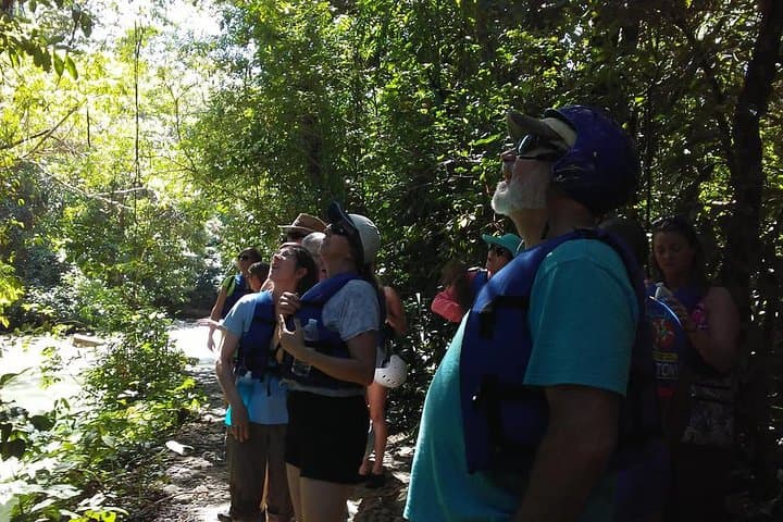 Rainforest Trek to Natural Pool from Taino Bay & Amber Cove — Puerto Plata Waterfall Hike photo 2