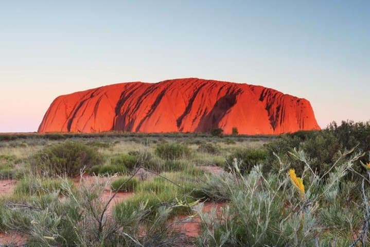 Alice Springs to Uluru One-Way Shuttle: Scenic Transfer to Ayers Rock photo 4