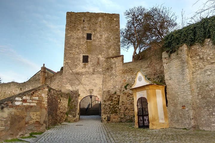 Braunsberg Mountain Private Hike from Vienna — Danube Views, Ruins & Celtic Palisade