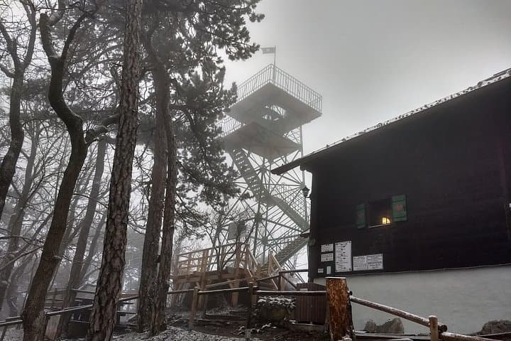 Parapluie Mountain Hike to Josefswarte — 3-Hour Vienna Woods View