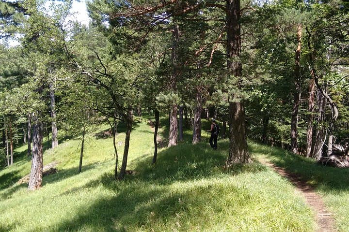Kieneck Alpine Hike: 4-Hour Private 'Enzian' Mountain Tour from Vienna photo 4