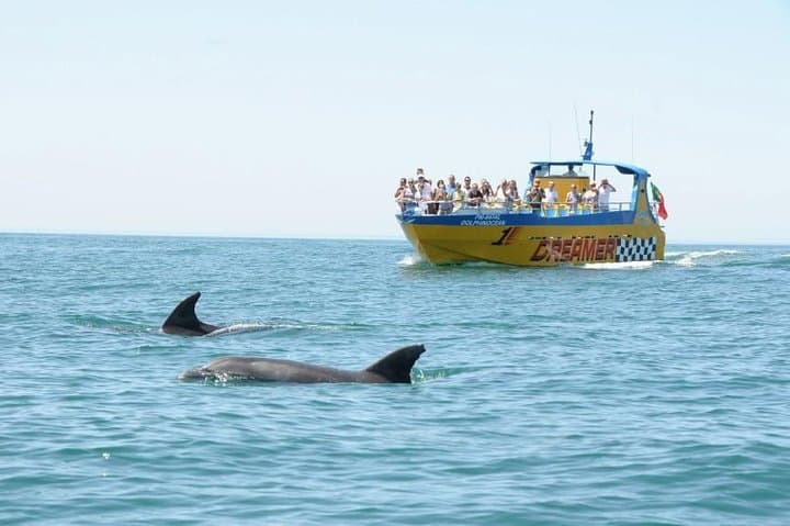 Albufeira Dreamer Boat Trip: Dolphin Watching and Benagil Cave Views photo 3