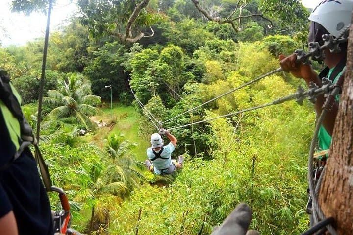 Trinidad Zipline Adventure — 8-Line Canopy Tour Overlooking the Caribbean