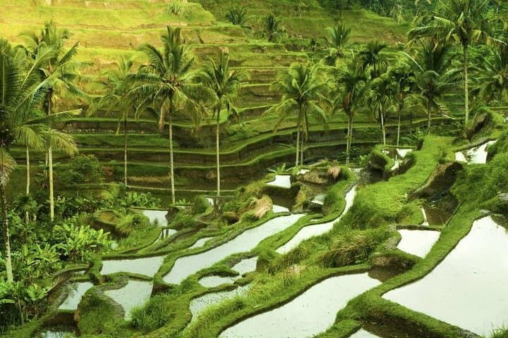 custom-private-bali-shore-excursion-full-day-tour