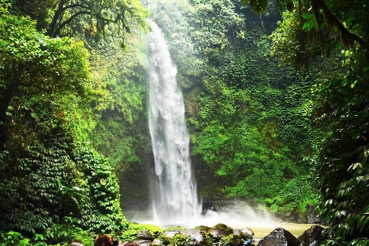 Taman Ayun to Nungnung: Ubud Day Tour to Temples, Monkey Forest & Waterfall photo 3