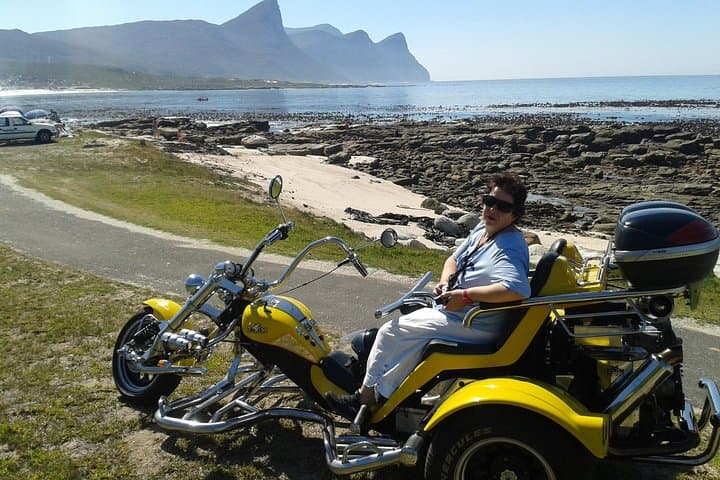 Cape Peninsula Trike Tour: Chapman's Peak, Cape Point & Boulders Penguins photo 2