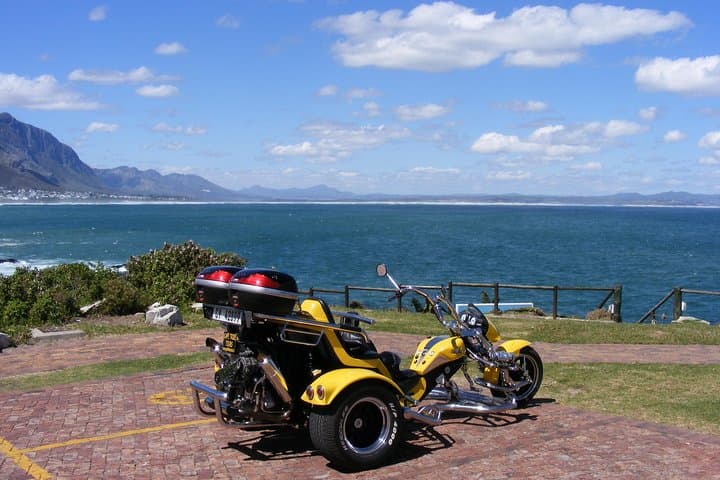 Trike Along Clarence Drive: Hermanus Whale Route Tour from Cape Town