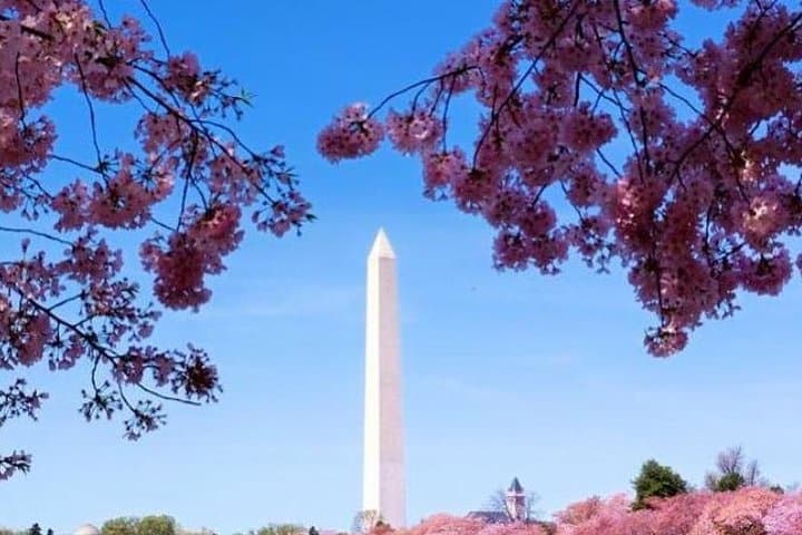 Moonlight Tour: Private 3-Hour Nighttime Washington DC Sightseeing photo 4
