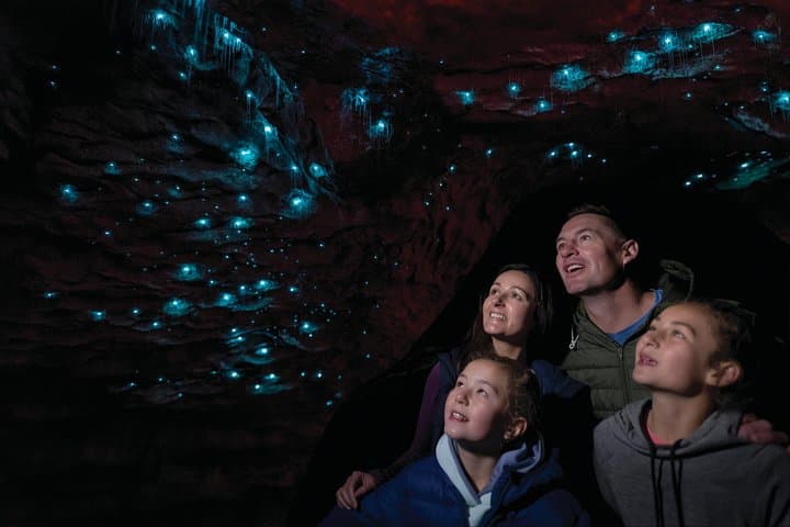 Te Anau Glow Worm Caves Tour: Lake Cruise to Cavern Glowworm Experience