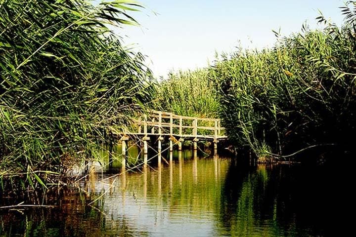 Shaumari Reserve and Azraq Wetland: Private Full-Day Wildlife Tour from Amman photo 1