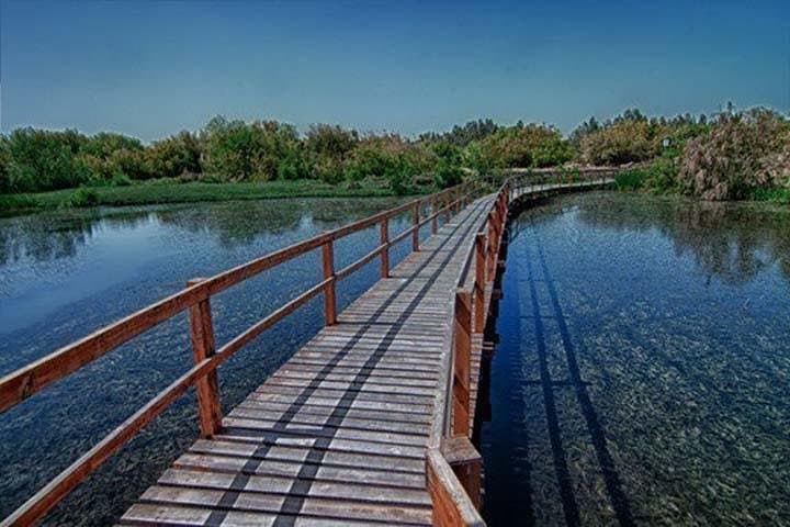 Shaumari Reserve and Azraq Wetland: Private Full-Day Wildlife Tour from Amman photo 2