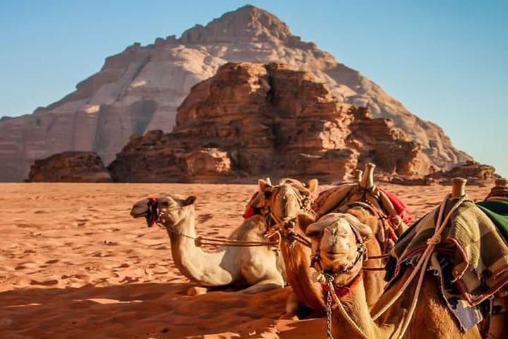Wadi Rum Private Half-Day Jeep Tour from Aqaba — Lawrence of Arabia Experience
