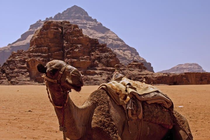 Wadi Rum Jeep and Bedouin Experience from Aqaba — Star Wars Film Sites & Desert Jeep Tour photo 6