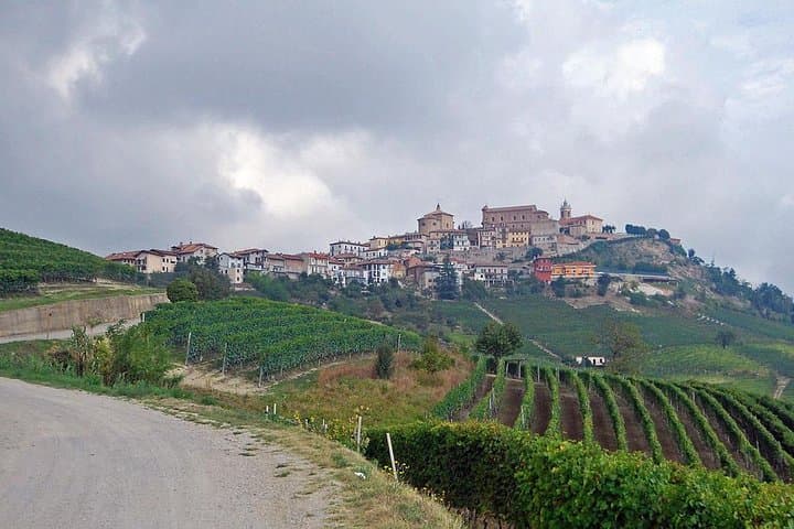 4-Day Piedmont Wine, Truffle & Alpine Culture Tour from Milan photo 4