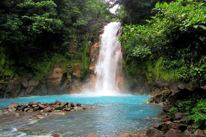 Río Celeste Hike and Swim at Tenorio Volcano National Park