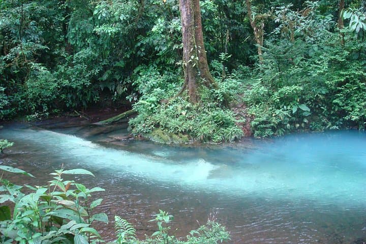 Río Celeste Hike and Swim at Tenorio Volcano National Park photo 5