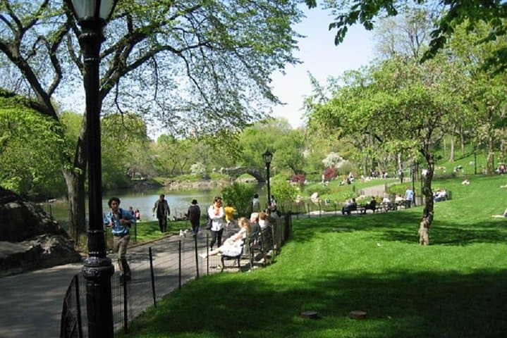 Central Park to the Upper East Side: 2–3 Hour Guided Walking Tour of Manhattan's Iconic Green Space photo 2